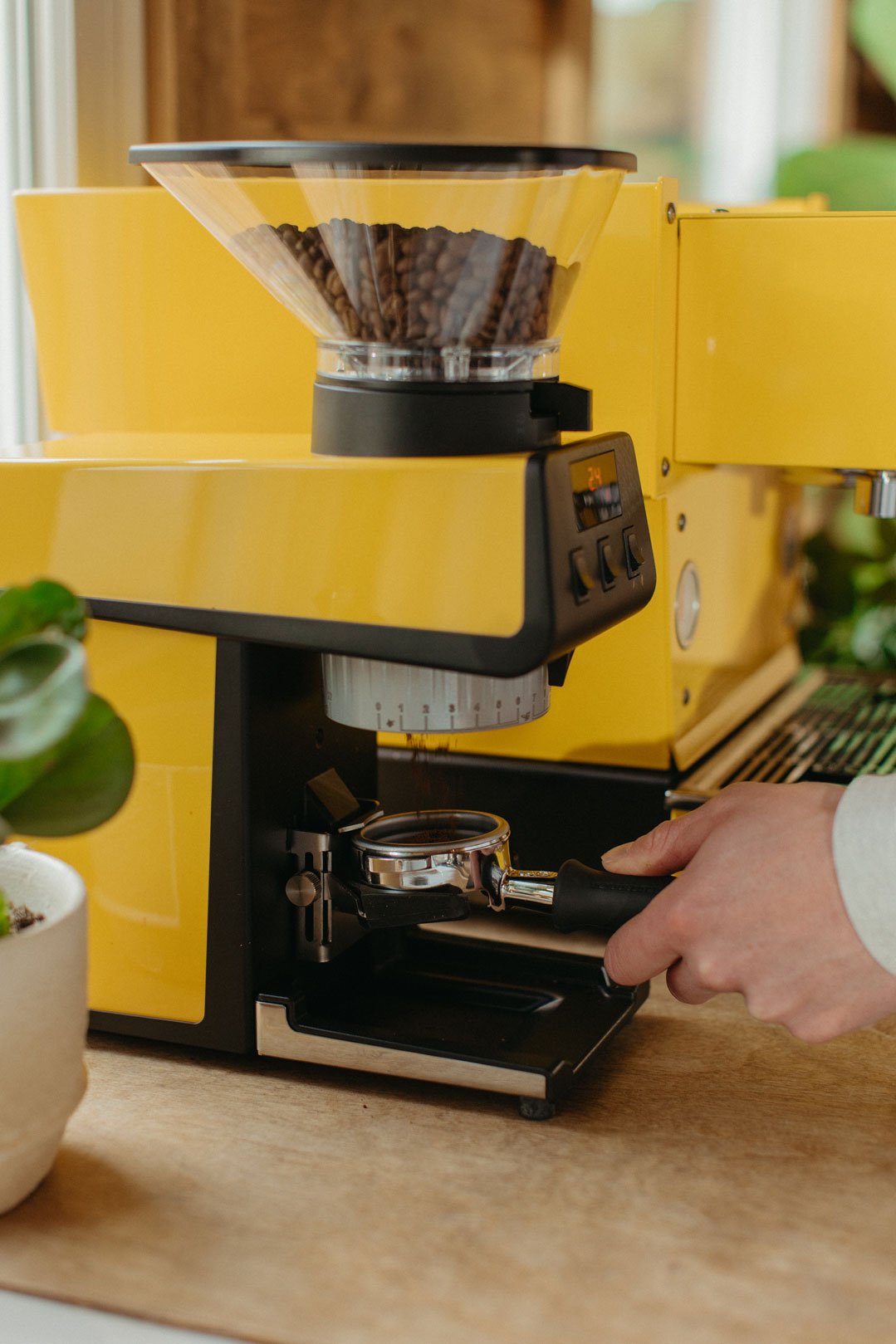 La Marzocco Pico Yellow - rRebel Coffee Works NO